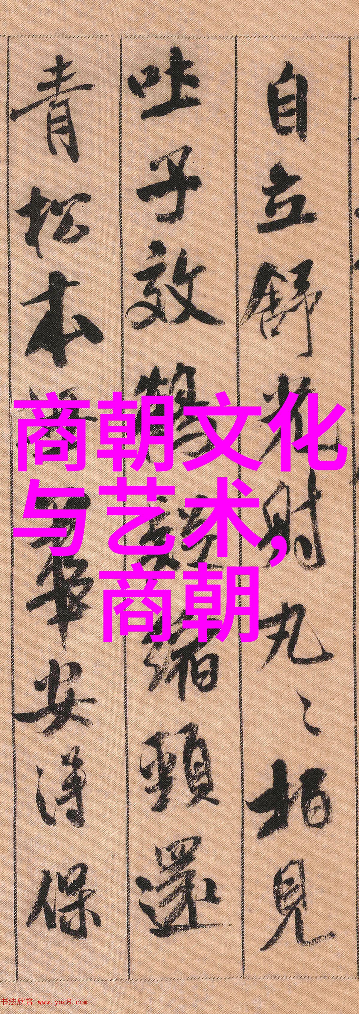 金玉其外败絮其中孟珙一言覆军国