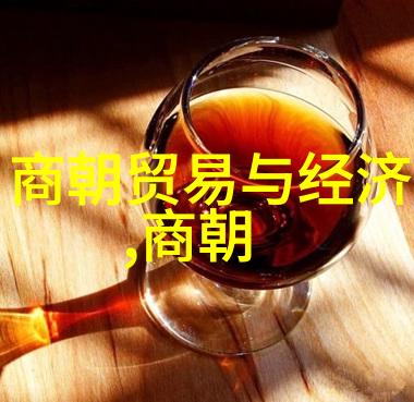 明清对比探索历史垃圾与荣耀的差异