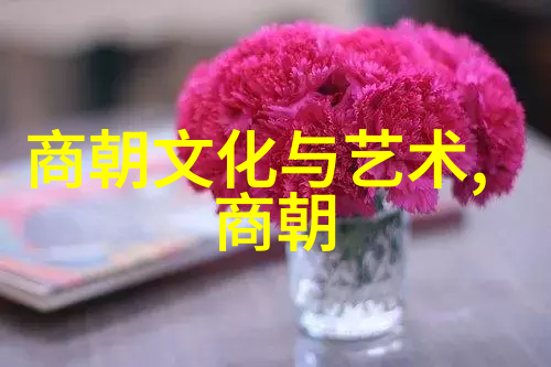 明朝兴衰王朝覆灭的历史迷雾