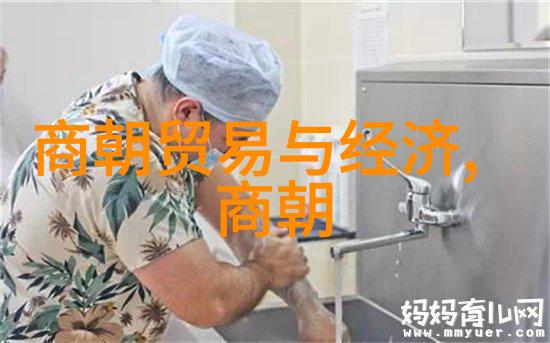 朱祁镇背后的权谋明朝英宗的无耻统治