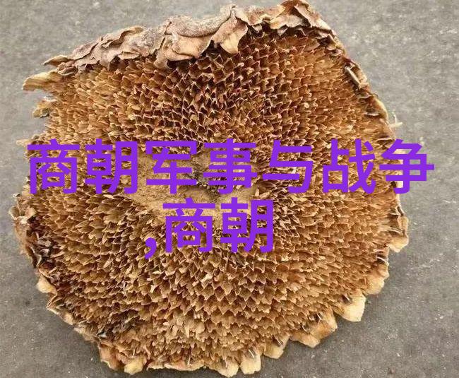 孩子的预言山洞中的60岁终点