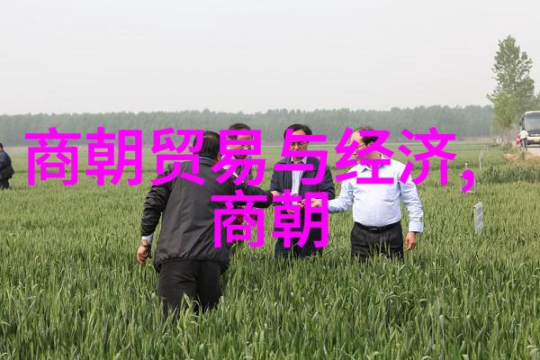 免费探秘明朝那些事儿揭开历史的神秘面纱