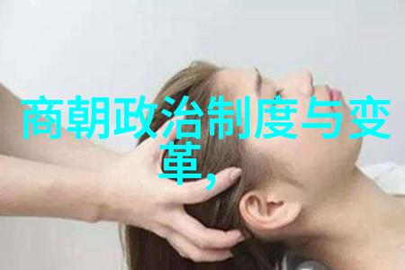 明初帝位继承问题探究朱元璋之所以不立朱棣的历史与政治考量