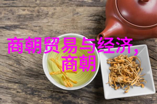 朝局逆转大清末日的秘密