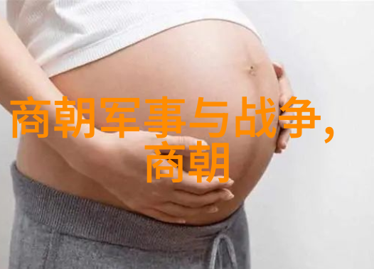 明代海禁政策及其对中国近海贸易的影响分析