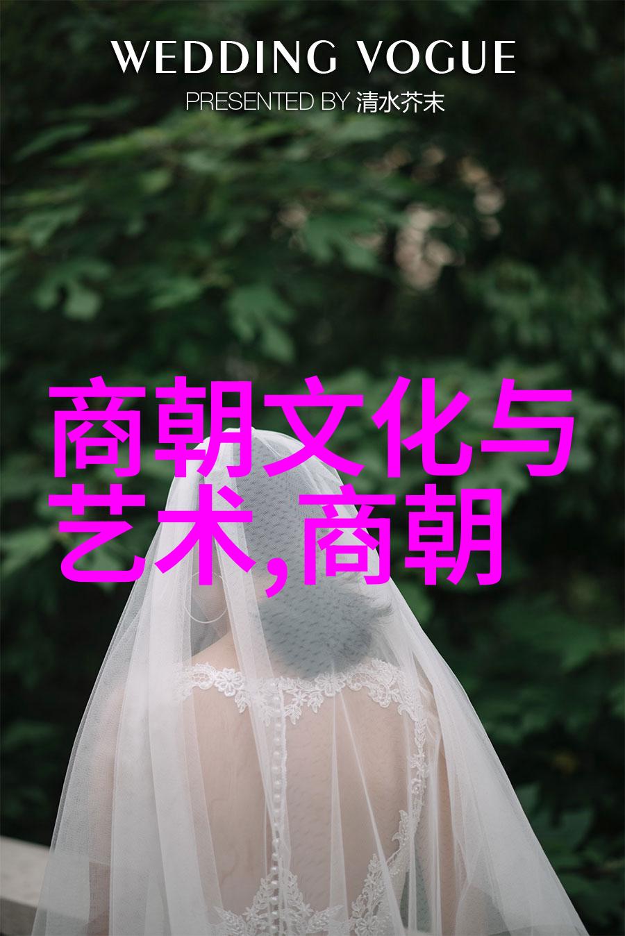明朝有趣的历史故事100-龙凤呈祥百件奇闻录
