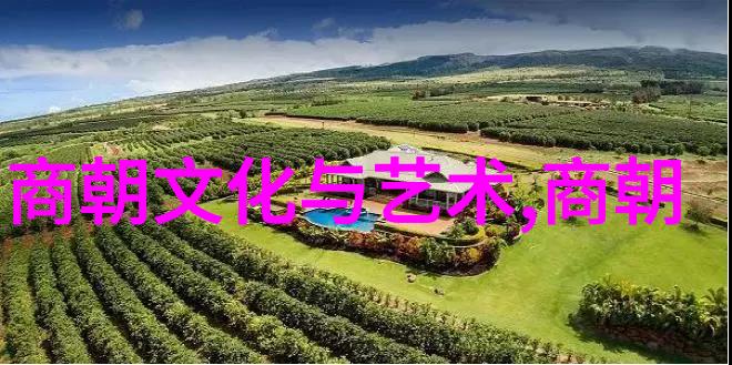 宋朝大一统王朝的巅峰之作