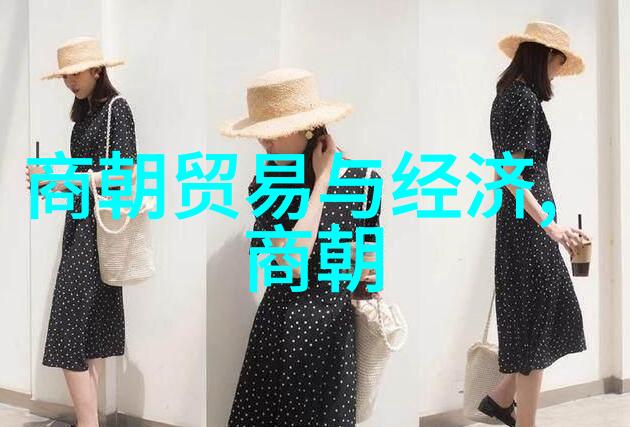 明清历代帝王 - 皇权辉煌与民生忧愁从朱元璋到康熙的帝王征程