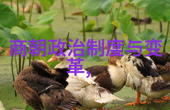 车内两男舔我一个沉默的故事