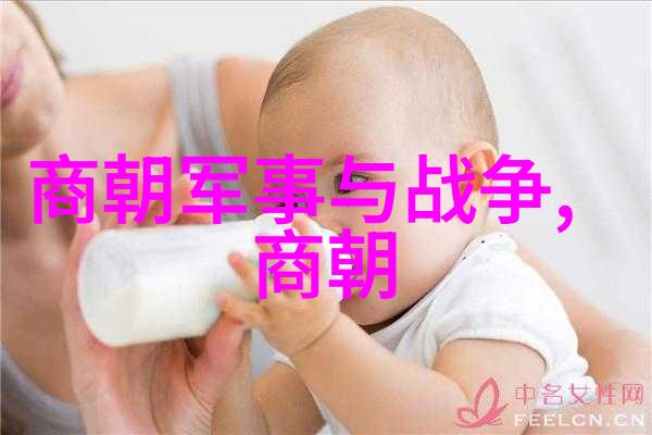 宋末民初动荡时期及其对明初影响分析