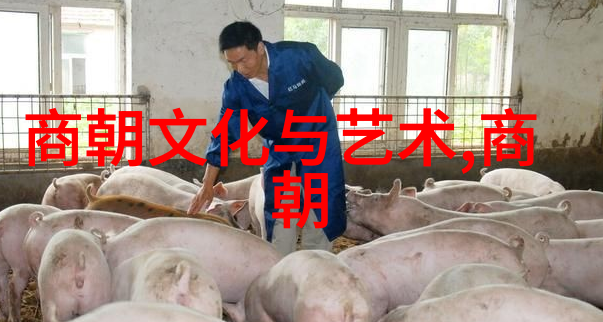 明朝大全辉煌盛世与衰落的历史篇章