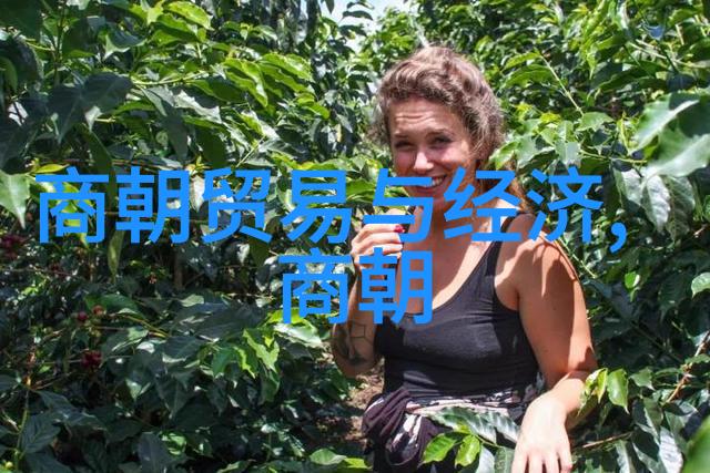 明朝那些事有几本历史巨著