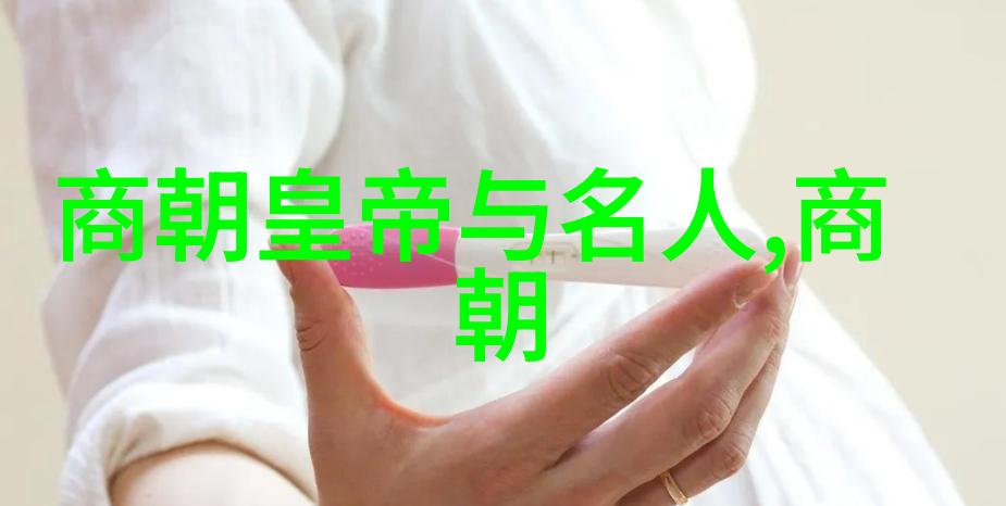 辽代风华金轮铁骑下的辉煌帝国