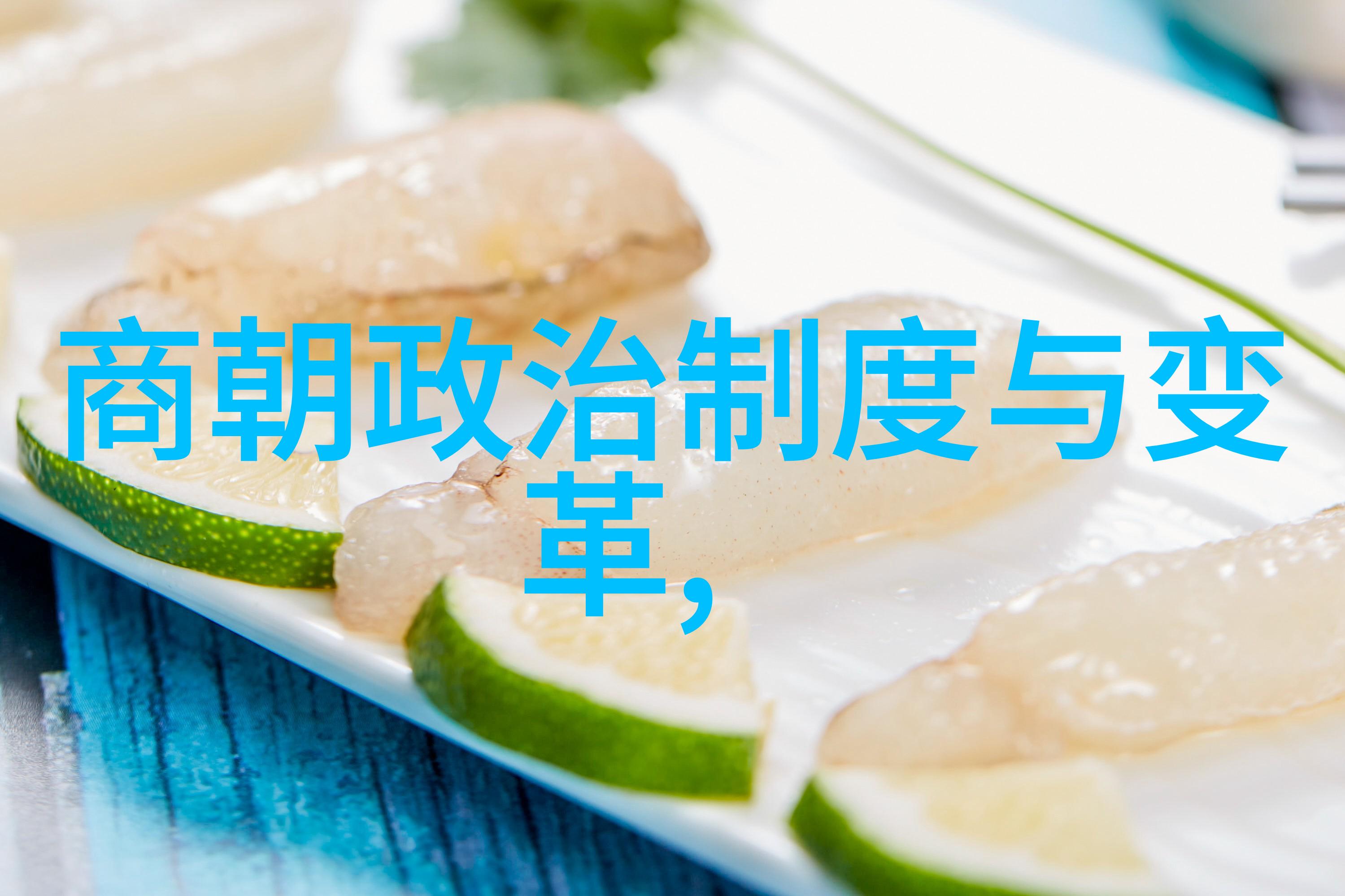 明朝的阴影一个王朝的崩溃之谜