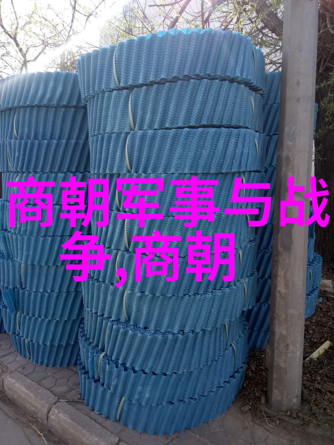 南海论坛上的郑苹如像一颗璀璨的明珠在无尽的波涛中闪耀