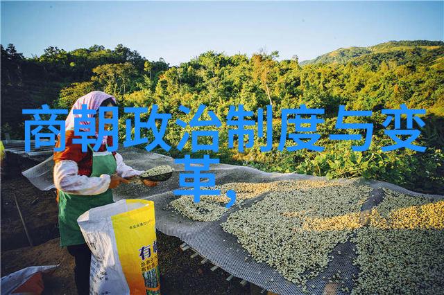 乾隆帝与雍正帝的隐秘对立背后的权力斗争和皇位继承之谜