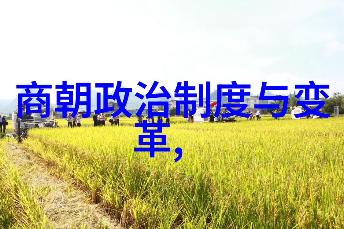分析中国历史上各朝对农业手工业和商业发展的贡献
