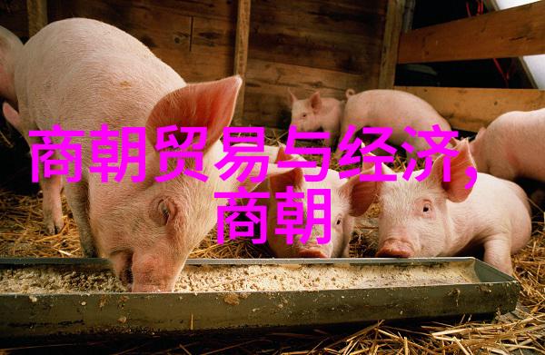 从宋朝到宋城北宋南下南宋北移一个历史笑话的真实面目