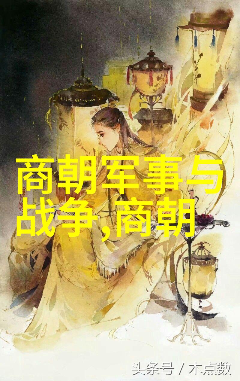 历史探究-明朝的阴影与光芒黑暗与繁荣的双重面貌
