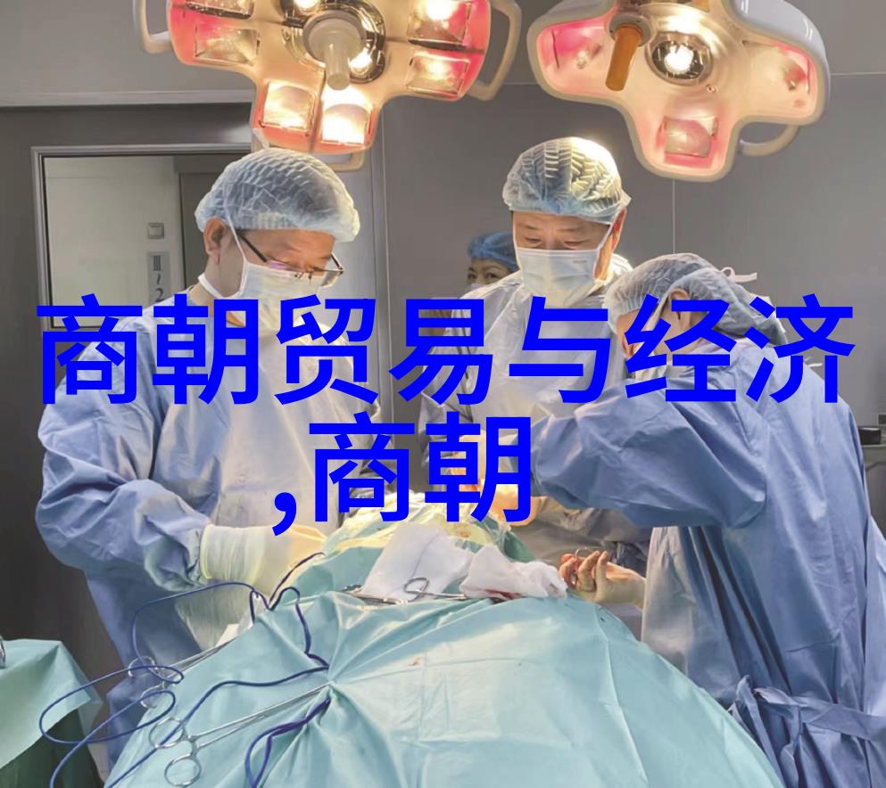 荒漠中的花季元朝的逆袭传奇