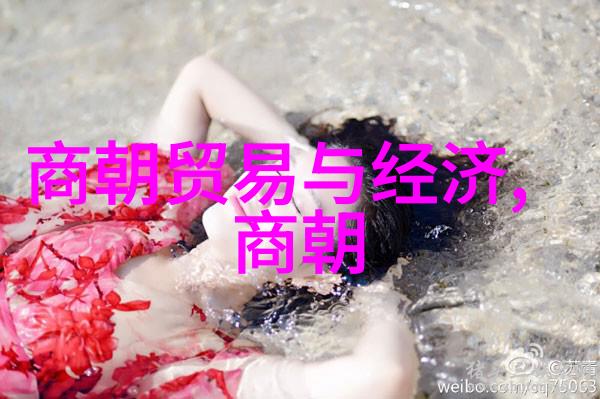 清宫斗争与民间疾苦明朝那些事儿中的社会面貌描绘