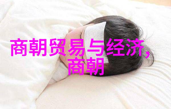 岁月沉淀回望明朝风华与变迁