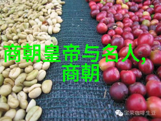 蒙古铁骑与明军交锋土木堡的悲剧与疆土的代价