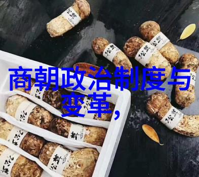 元朝知识点精粹从忽必烈到顺帝的历史与文化探究