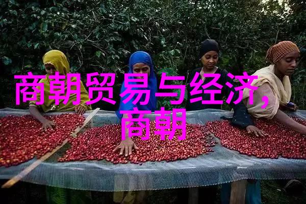 李政道科技事业的忠诚守护者祖国的科研名人之光