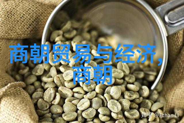逆袭的阴影康熙帝的不幸结局