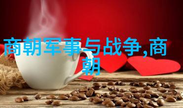 明朝垃圾还是清朝垃圾-历史的两重天明清对比考古学探究