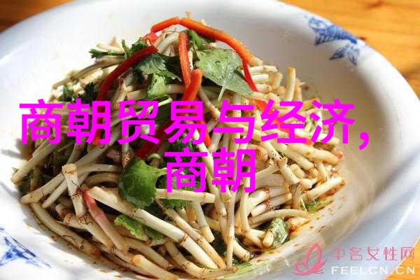 博果尔的娘与大玉儿关系探究博古拉夫人的秘密与大玉儿的身世