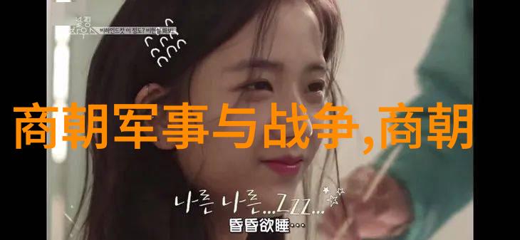 元明朝历史简介我的时间机器穿越两代帝王的辉煌与衰落