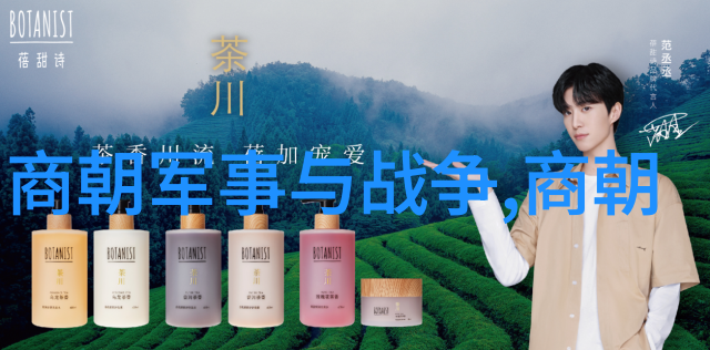 明朝历史解说我来告诉你一个关于明朝的故事从一代伟人到千年的辉煌揭秘明朝的崛起与衰落