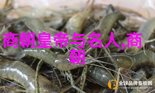 岁月长河中国古韵的千秋时光