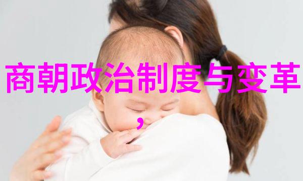 明代数学家刘伯温简介数学之星与历史的足迹