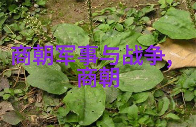 从朱元璋到崇祯明朝那一场世变如何