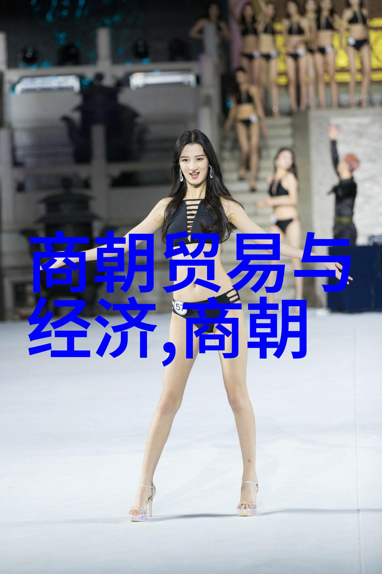 明朝历史视频播放方法-探秘明朝如何轻松观看历史影视