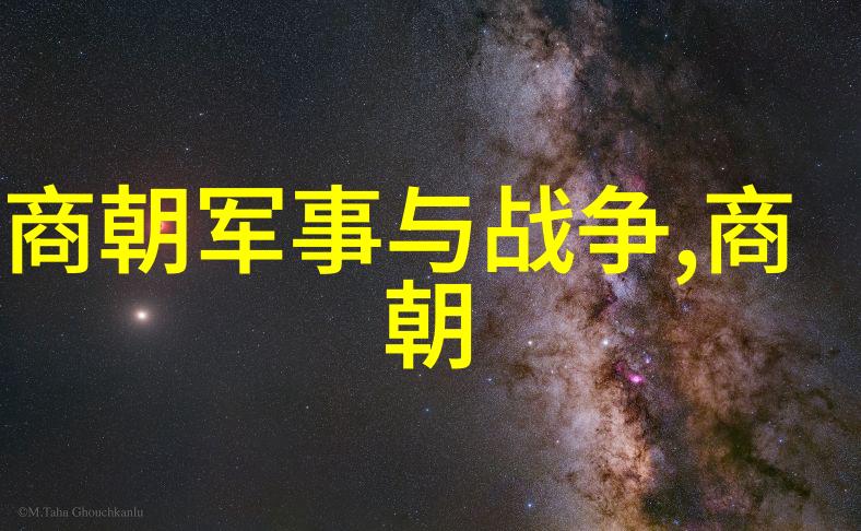 南宋的辉煌历史的长河中一朵独特之花