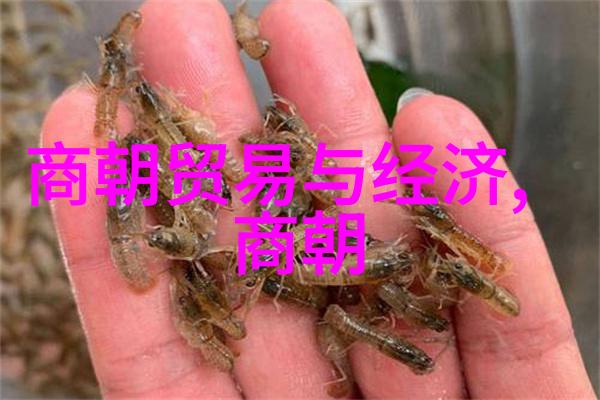 明朝趣事百态倚天屠龙记中的武林高手与皇家宠臣的秘密交锋