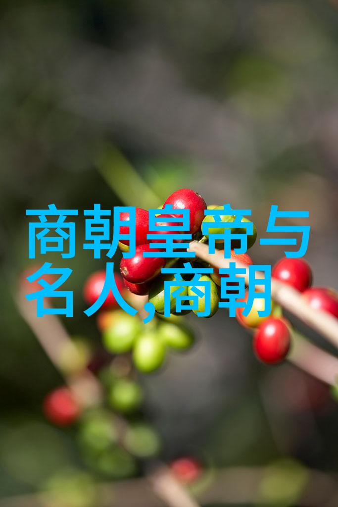 中国历史-探索中华文明的5000年足迹