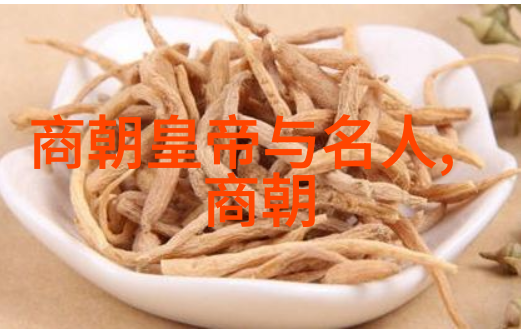 元朝帝王史话评书 - 辽阔时空中的演义元朝帝王的历史与传奇
