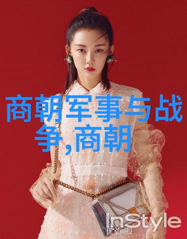 完颜洪辉是如何成为北宋末年的南京留守军节度使的