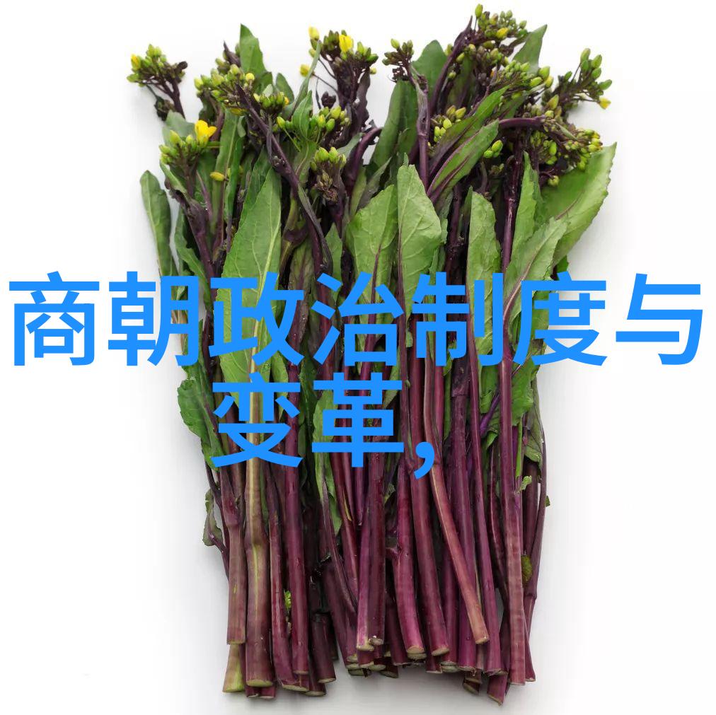 元朝千年辉煌元朝的历史与文化
