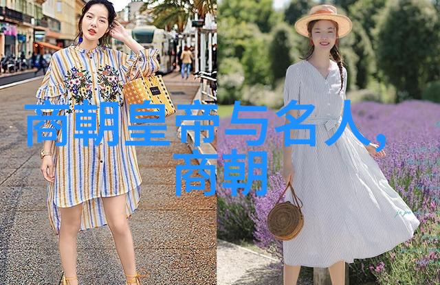宋朝统一之梦历史的巨轮与王权的重量