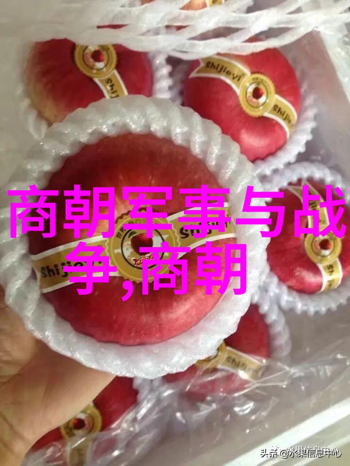 元朝文化盛世丝绸之路与中国历史的深远贡献