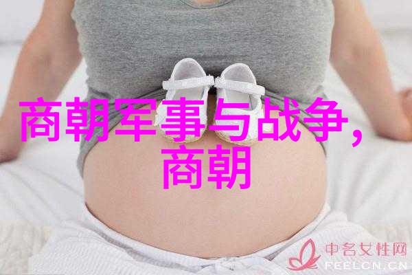 明朝官职序列与权力结构研究探索科举制度下的中央与地方关系