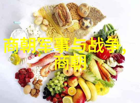 国父一词在历史上是如何与郑成功联系在一起的这背后又有何考量