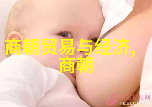 在中华上下五千年的长河中宋朝的风华又有哪位人物与察合台(11831241)齐名