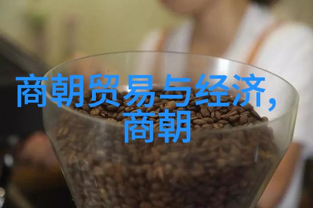 皇帝与王公贵族大清朝的权力结构